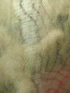 Masturbate and fucked in the ass